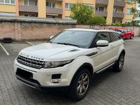 Gebraucht Land Rover Range Rover evoque Pure 150 PS (110 kW) 2012 Weiß SUV
