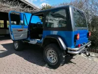Gebraucht Jeep Wrangler 178 PS (130 kW) 1992 SUV