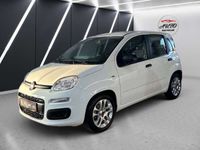 gebraucht Fiat Panda NewKlima 1.0 Hybrid 1 Hand