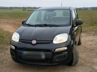 Gebraucht Fiat Panda 69 PS (50 kW) 2016 Schwarz Kleinwagen