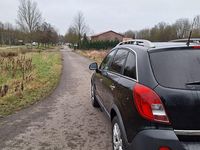 Gebraucht Opel Antara Cosmo 184 PS (135 kW) 2012 Schwarz SUV