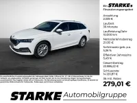 Gebraucht Skoda Octavia Style 150 PS (110 kW) 2023 Weiß (candyweiss) Kombi
