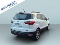 Gebraucht Ford Ecosport Titanium 125 PS (91 kW) 2019 Weiß SUV