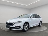 Gebraucht Skoda Octavia 150 PS (110 kW) 2024 Moonweissmet. Kombi