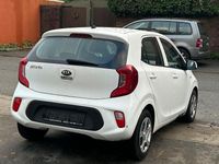 Gebraucht Kia Picanto Edition 7 67 PS (49 kW) 2019 Weiß Kleinwagen