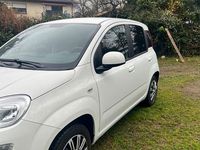 Gebraucht Fiat Panda 69 PS (50 kW) 2017 Weiß Kleinwagen