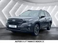 Gebraucht Subaru Forester Exclusive+ 136 PS (100 kW) 2025 Grau SUV