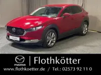 Gebraucht Mazda CX-30 Selection 186 PS (136 kW) 2021 Rot SUV