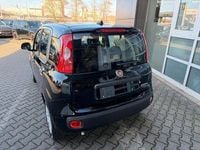 Neu Fiat Panda Icon 65 PS (47 kW) 2026 Schwarz Kleinwagen