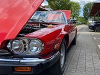 Gebraucht Jaguar XJS 262 PS (192 kW) 1990 Rot Cabrio