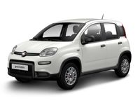 gebraucht Fiat Panda 