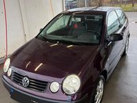 Gebraucht VW Polo 55 PS (40 kW) 2003 Violet Kleinwagen
