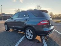 Gebraucht Mercedes ML350 258 PS (189 kW) 2015 Grau SUV