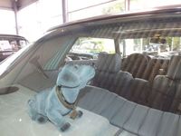 Gebraucht Mercedes SLC380 155 PS (114 kW) 1981 Grau Coupé