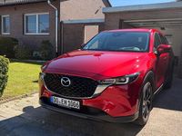 Gebraucht Mazda CX-5 Ad'Vantage 165 PS (121 kW) 2024 Rot SUV