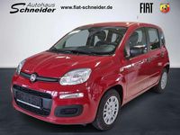 Neu Fiat Panda 69 PS (50 kW) 2025 Passione rot Kleinwagen