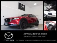 Gebraucht Mazda CX-30 Homura-Line 150 PS (110 kW) 2022 Rot SUV