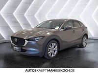 Gebraucht Mazda CX-30 Sky 122 PS (89 kW) 2020 Grau SUV