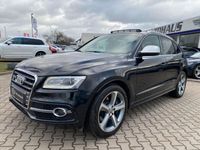 gebraucht Audi SQ5 3.0 TDI Quattro*PANO*AHK*TEMPOMAT*Stand.Heiz