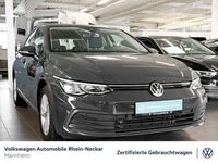 gebraucht VW Golf VIII 2.0 TDI Life Navi PDC LED uvm