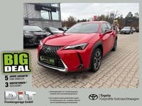 Gebraucht Lexus UX 250h 184 PS (135 kW) 2022 Solid red SUV