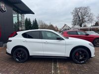 Neu Alfa Romeo Stelvio Veloce 280 PS (205 kW) 2025 Weiß SUV