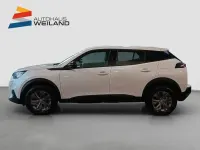 Gebraucht Peugeot 2008 Active 131 PS (96 kW) 2023 Perlmutt weiãÿ perleffekt SUV