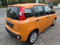 Gebraucht Fiat Panda 71 PS (52 kW) 2021 Orange Kleinwagen