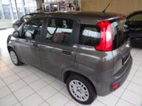 Gebraucht Fiat Panda Easy 69 PS (50 kW) 2019 Grau Kleinwagen