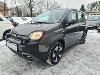 Gebraucht Fiat Panda Cross Cross 69 PS (50 kW) 2023 Grau Kleinwagen