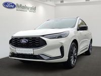 Neu Ford Kuga 190 PS (139 kW) 2026 Metropolisweiß metallic SUV