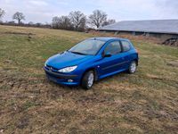 Gebraucht Peugeot 206 75 PS (55 kW) 2004 Blau Kleinwagen