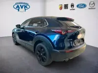 Gebraucht Mazda CX-30 Homura-Line 140 PS (102 kW) 2025 Deep crystal blue SUV