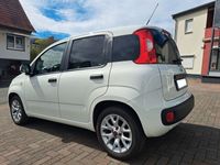 gebraucht Fiat Panda New1.2 8V EASY