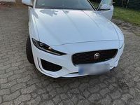 Gebraucht Jaguar XE R-Sport 250 PS (183 kW) 2020 Weiß Limousine
