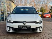 Gebraucht VW Golf VIII Life 116 PS (85 kW) 2024 Weiß Kombi
