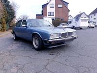 gebraucht Jaguar XJ40 H Kennzeichen