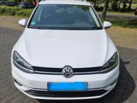 Gebraucht VW Golf VII 116 PS (85 kW) 2019 Weiß Kombi