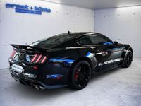 gebraucht Ford Mustang GT Shelby 500