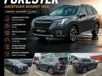 Gebraucht Subaru Forester 150 PS (110 kW) 2023 Grau SUV