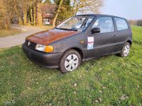 Gebraucht VW Polo 50 PS (36 kW) 1998 Schwarz Kleinwagen