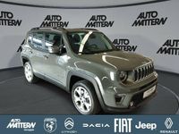 Gebraucht Jeep Renegade Limited 190 PS (139 kW) 2021 Grau SUV