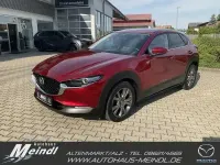 Gebraucht Mazda CX-30 Selection 186 PS (136 kW) 2022 Soul red crystal SUV