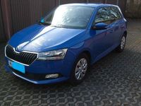 Gebraucht Skoda Fabia Active 60 PS (44 kW) 2019 Blau Kleinwagen