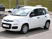 Neu Fiat Panda 69 PS (50 kW) 2025 Weiß Kleinwagen
