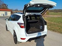 Gebraucht Ford Kuga ST-Line 175 PS (128 kW) 2019 Weiß SUV