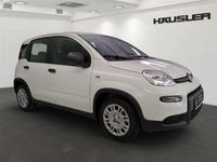Gebraucht Fiat Panda 69 PS (50 kW) 2024 Weiß Limousine