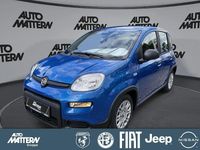 Gebraucht Fiat Panda 51 PS (37 kW) 2024 Blau Kleinwagen