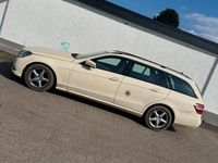 Gebraucht Mercedes E200 136 PS (100 kW) 2011 Gelb Kombi