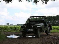 Gebraucht Jeep Willys 102 PS (75 kW) 1965 Grün
